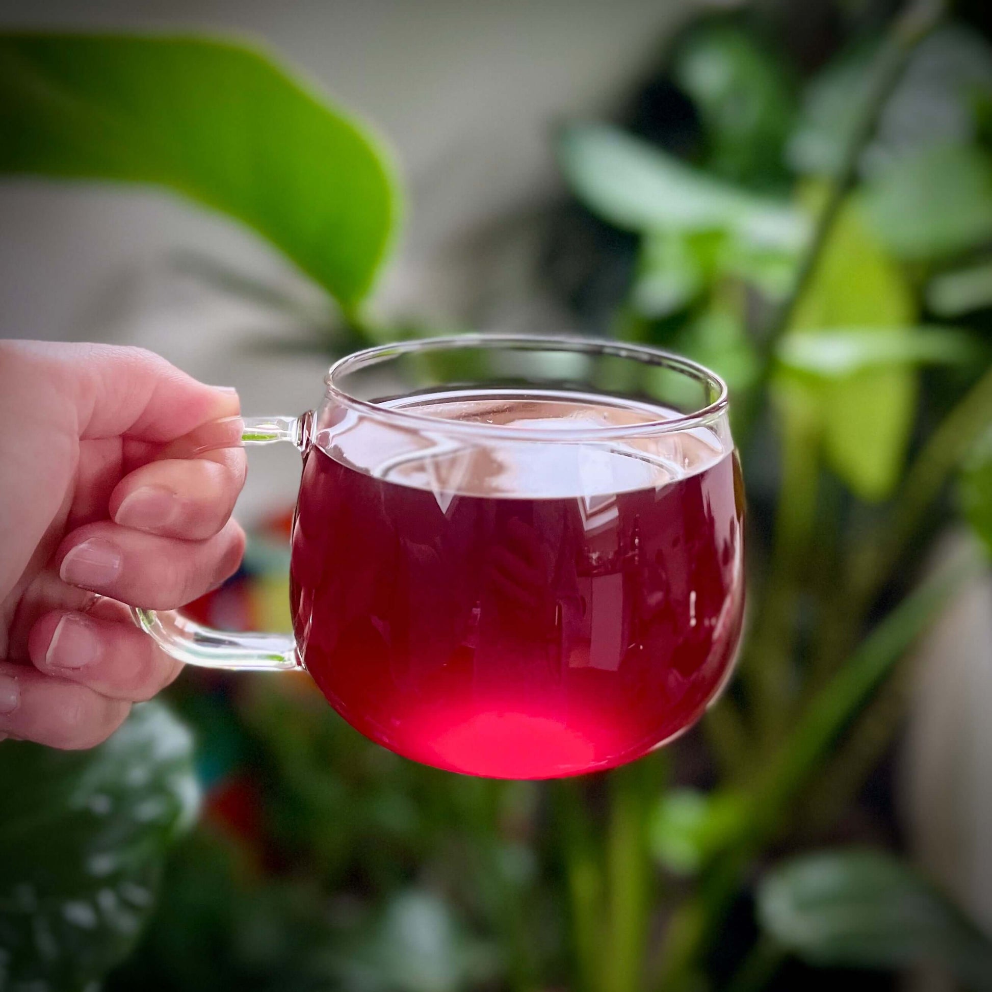 apple spiced fruit tea glass cup pink