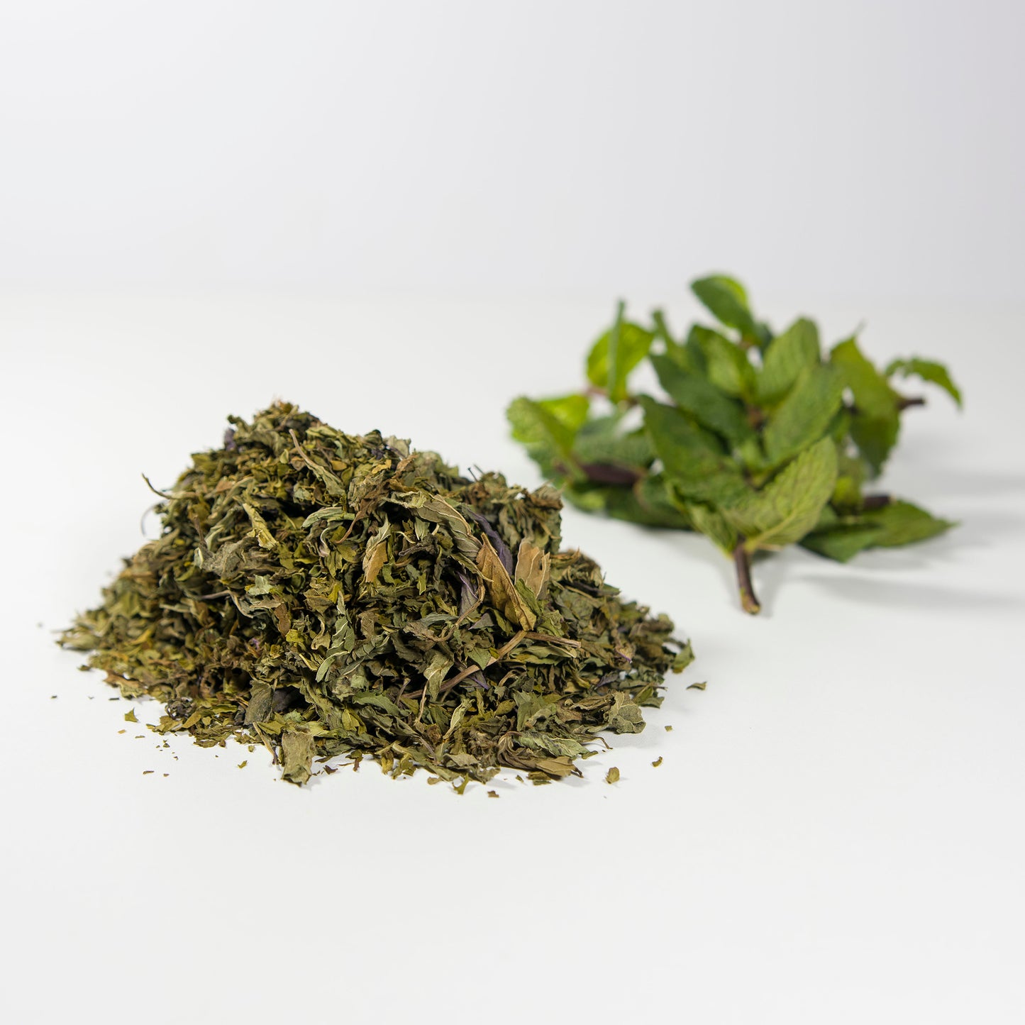 Spearmint, Peppermint Willamette, Large leaf Mint-Mentha Piperitae.