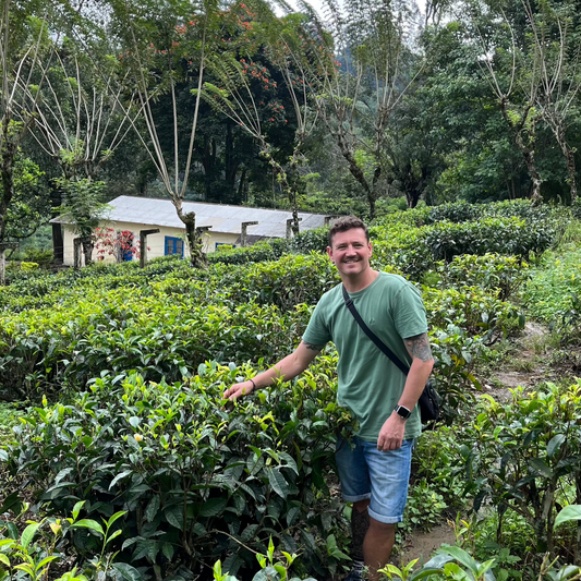 What’s Brewing in the World of Tea This May?