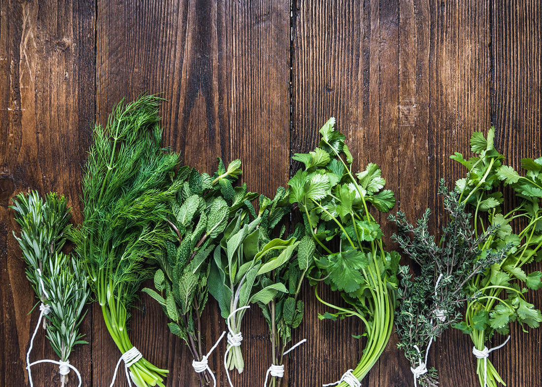herbs to hold onto for life
