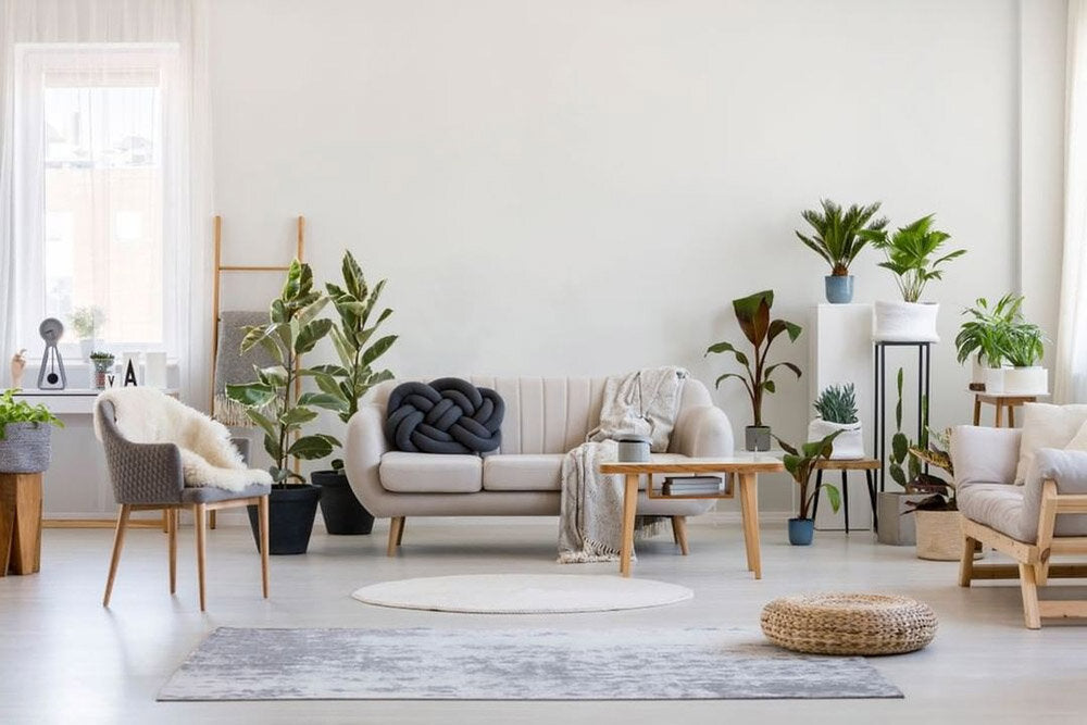 How To Create A Plant Loving Home!