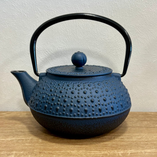 Cast Iron Teapot Tokyo 600ml